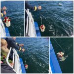 ein Bild aus dem Album